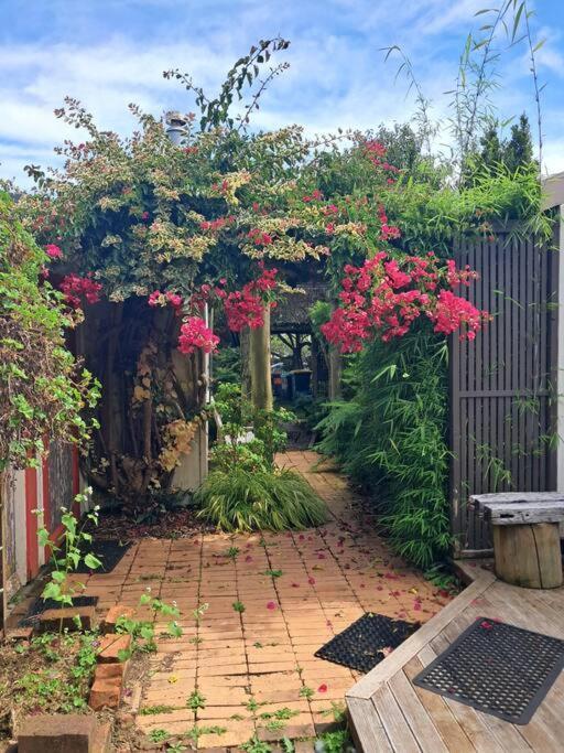 Secret Cottage Waitara 외부 사진