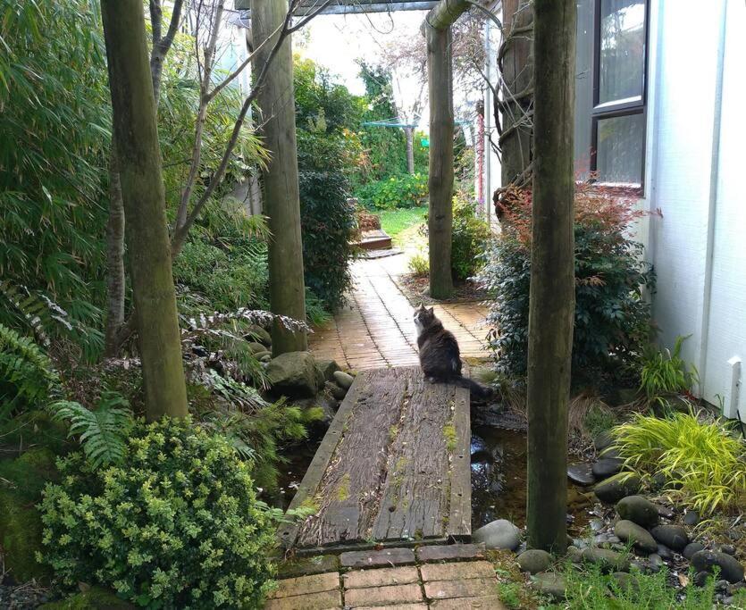 Secret Cottage Waitara 외부 사진