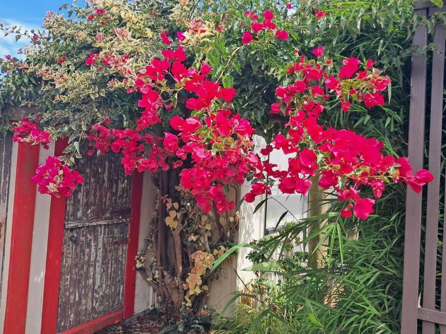 Secret Cottage Waitara 외부 사진